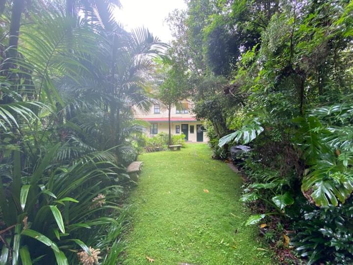 Rosella'S On Springbrook Hotel Ngoại thất bức ảnh