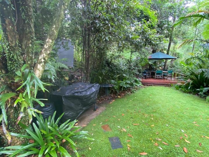 Rosella'S On Springbrook Hotel Ngoại thất bức ảnh